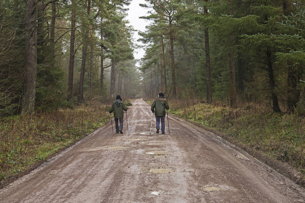 Pareja mayor caminando a lo largo del sendero a través de un bosque remoto en el paisaje rural durante el invierno - Foto, imagen