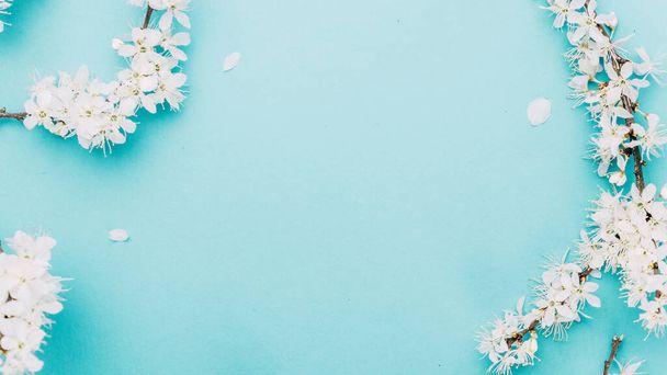 Jarní kulatý stůl. Květen květiny a duben květinová příroda na modré. Pro banner, větve kvetoucí třešně na pozadí. Snový romantický obraz, krajina panorama, kopírovací prostor - Fotografie, Obrázek