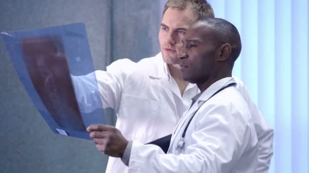 Two doctors looking at an X-ray - Filmati, video