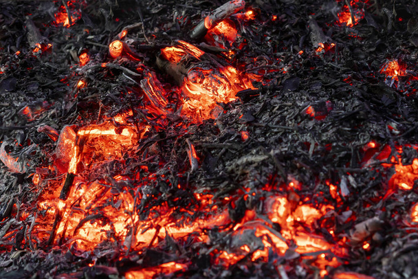 ramitas y hojas quemadas en hogueras rojas o amarillas y algunas se transforman en cenizas y carbón negro - Foto, Imagen