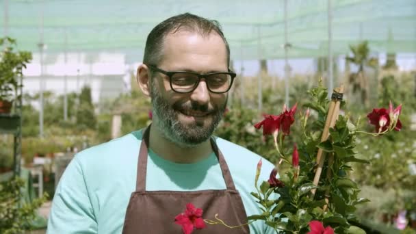 Heureux fleuriste hispanique mâle tenant plante à fleurs en pot - Séquence, vidéo