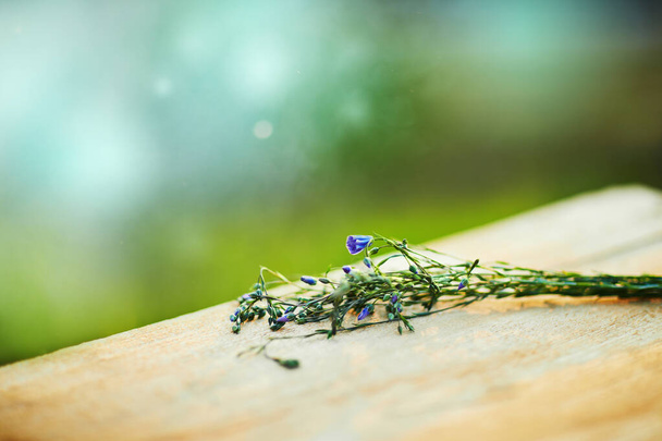 Flax (Linum usitatissimum), also known as common flax or linseed, is lying on a wooden table on a green blurred background - Photo, Image