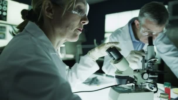 Male and female scientists working in laboratory - Materiał filmowy, wideo