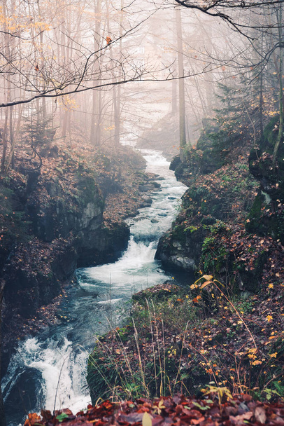 Wilczki Waterval, rivierbedding tussen de rotsen rijk bedekt met vegetatie. Water dat uit de bergen stroomt creëert een microklimaat voor planten, er ontstaat een waterdamp nevel. - Foto, afbeelding