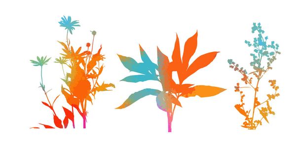 La silhouette del set erba. Sfondo astratto con sagome colorate di erbe selvatiche prato e fiori. Fiori di campo. Sfondo floreale. Erba selvatica. Illustrazione vettoriale. - Vettoriali, immagini