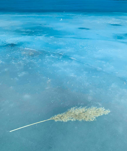 Одна самотня тростина очерету лежала на замерзлій поверхні річки, красивий зимовий холодний фон
 - Фото, зображення