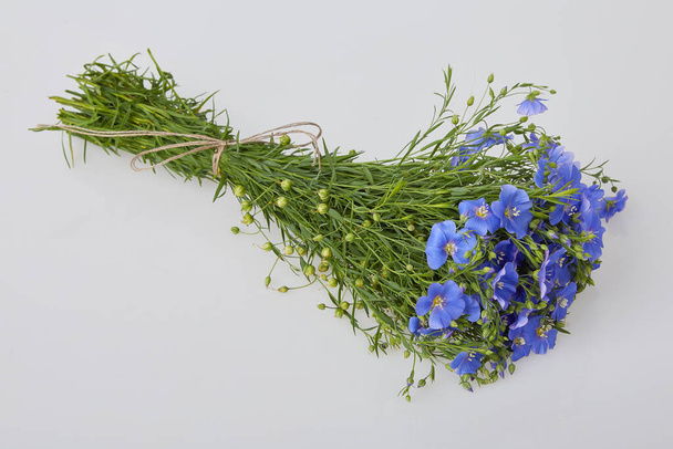 Μπουκέτο με μπλε λουλούδια λιναριού που απομονώνονται σε λευκό φόντο. - Φωτογραφία, εικόνα