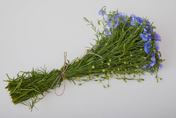 Bouquet of blue Flax flowers isolated on white background. - Photo, Image