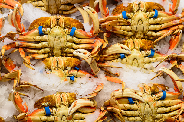 Crabes cuits frais
 - Photo, image