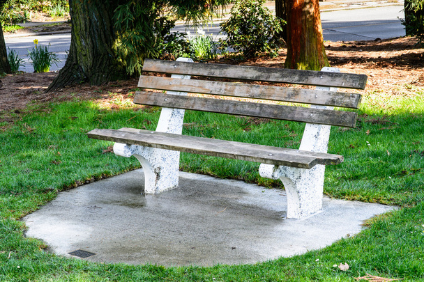 Seat in a park - Photo, Image