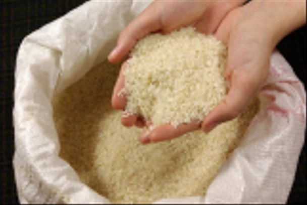 μεγάλο σάκο άσπρου ρυζιού - Φωτογραφία, εικόνα