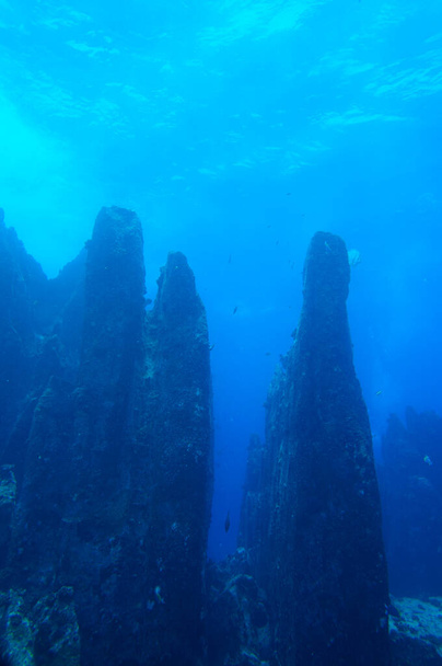 Onderwaterlandschap. Rotsachtige klif met vis - Foto, afbeelding