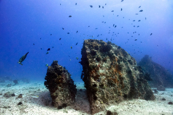 Unterwasserlandschaft mit Felsbrocken und Fischschwärmen - Foto, Bild