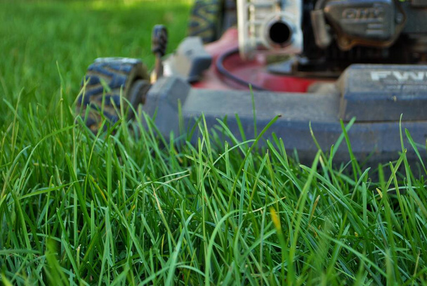 Ground level view of a lawnmower in tall grass - Photo, Image