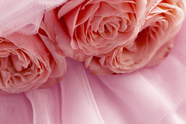 Pink roses on pink veil. Abstract background. Macro - Photo, Image