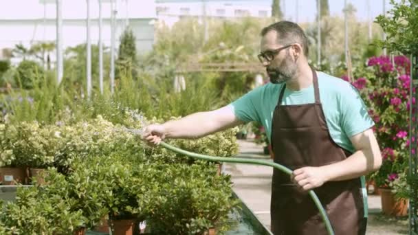 Üvegház, sörtulajdonos öntözőnövények - Felvétel, videó