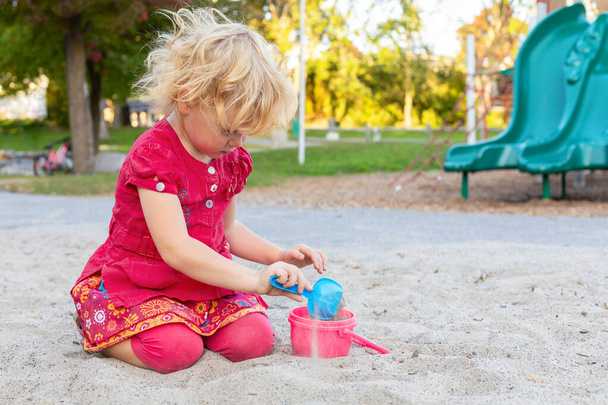 Mała dziewczynka bawiąca się w piaskownicy łopatą i wiadrem w parku latem. - Zdjęcie, obraz