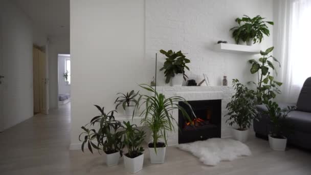 planten bij de open haard in de woonkamer - Video