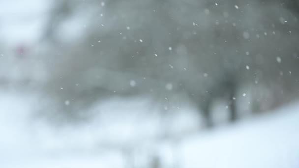 Winter und seine Naturphänomene, langsame Bewegung des Schnees, Schneefall am Tag, Blick aus dem Fenster, malerische und fabelhafte Aussicht auf Schneeflocken. - Filmmaterial, Video