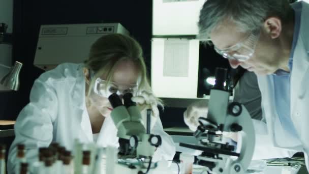 samci a samice výzkumu odborníků pracujících v laboratoři - Záběry, video