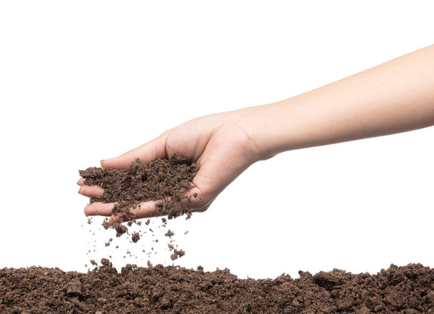 hand to plant seedlings into fertile soil isolated on white background - Photo, Image