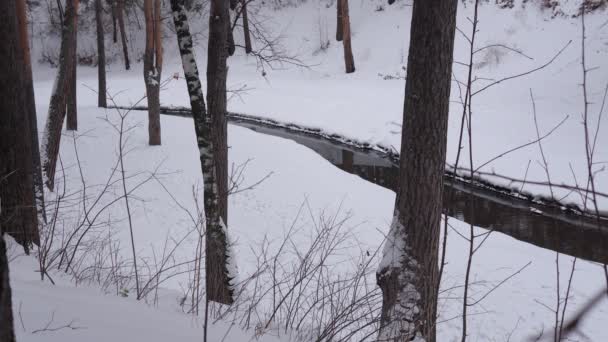 krajobraz ze śnieżnymi drzewami, rzeka z wodą w zimny wieczór - Materiał filmowy, wideo