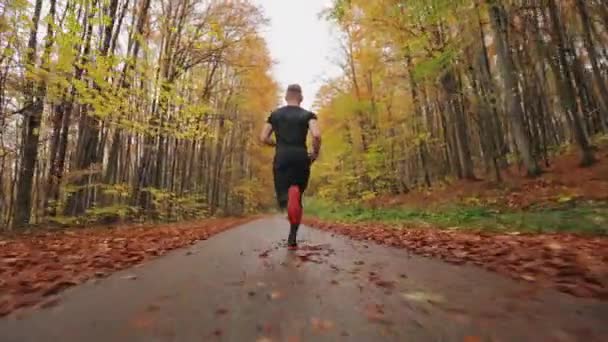 Sportowiec biegnie leśną drogą. Trening biegowy w jesiennym lesie. Strzelają od tyłu. 4K - Materiał filmowy, wideo
