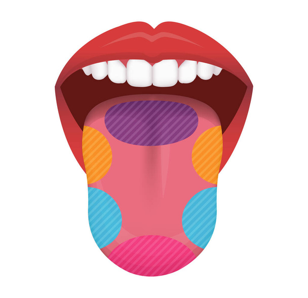 Proef gebieden van menselijke tong vector illustratie - Vector, afbeelding