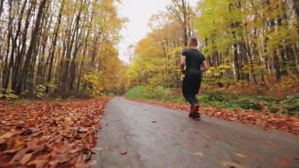 El atleta está corriendo a lo largo de un camino forestal. Entrenamiento en ejecución en bosque de otoño. 4K - Imágenes, Vídeo