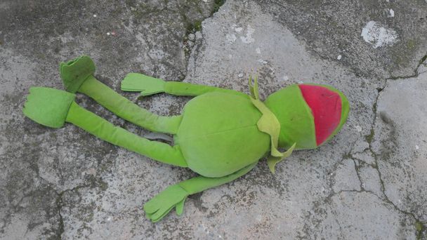 Discarded green frog doll outside gate of Andalusian village house - Photo, Image