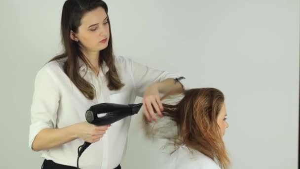 Ο στυλίστας στεγνώνει τα μαλλιά μιας νεαρής κοπέλας. - Πλάνα, βίντεο