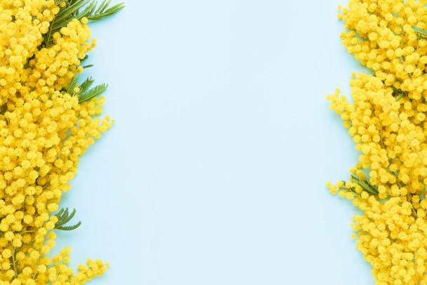 Mimosa fleurs bordent sur un fond bleu clair. Pâques, concept de journée des femmes. Espace de copie, vue du dessus. - Photo, image