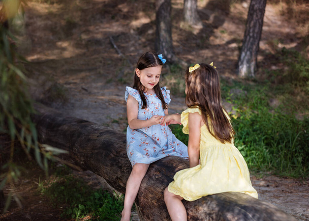 Dos novias están jugando en el bosque, sentadas en un tronco. El concepto de amistad, libertad y pasar tiempo juntos - Foto, Imagen