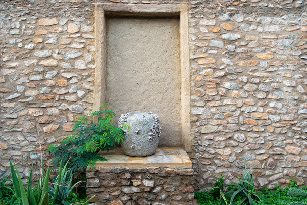 Régi kő fal és a növények textúra. - Fotó, kép