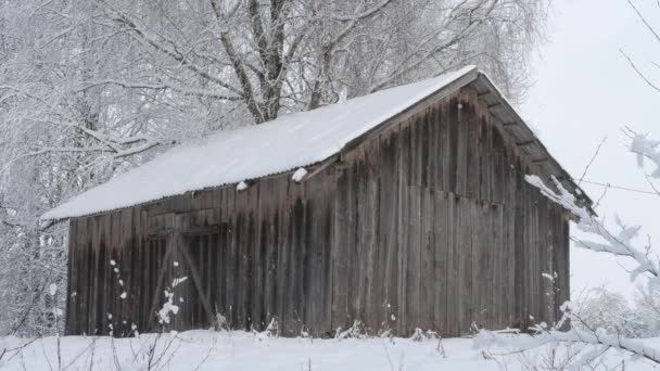 Sníh, venkovské nádvoří, stodola, Bělorusko  - Záběry, video