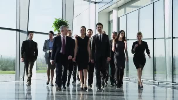 Multi-racial business team - Footage, Video