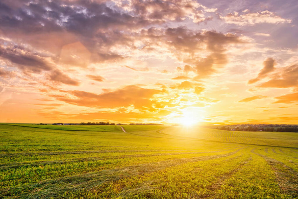 Coucher de soleil sur des terres cultivées à la campagne lors d'une soirée d'été avec un ciel nuageux. Paysage. - Photo, image