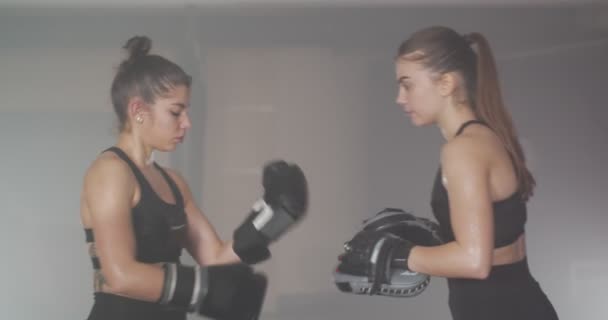 Крупный план бокса двух девушек - Кадры, видео