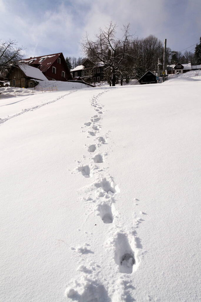 Stopa boty v čerstvém sněhu na prázdném sjezdovce, zimní zasněžená krajina za slunečného dne, bílý kopírovací prostor, novoroční sportovní koncept - Fotografie, Obrázek
