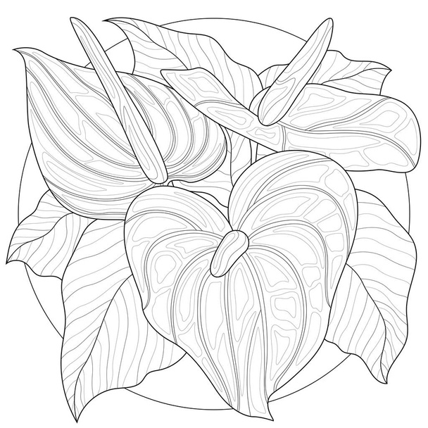Callas flowers.Coloring book antistress for children and adults. Zen-tangle style.Black and white drawing.Hand draw - Vector, Image
