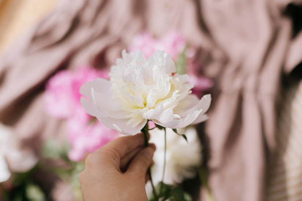 Hand holding beautiful peony on background of rustic linen dress in soft sunny light in room. Aesthetics. Boho dress with white and pink peony flowers. Simple slow living. Morning details - Photo, Image