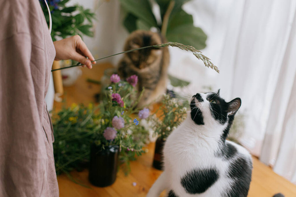 Deux chats jouant et regardant des fleurs sauvages tandis que la femme en robe de lin arrangeant des fleurs sur une table en bois dans une pièce rustique. Jeune fleuriste et ses animaux de compagnie au travail. Authentique moment charmant - Photo, image