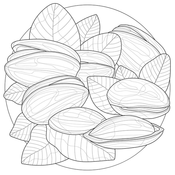 Pistachio nuts.Coloring book antistress for children and adults. Illustration isolated on white background.Zen-tangle style. Black and white drawing - Vector, Image