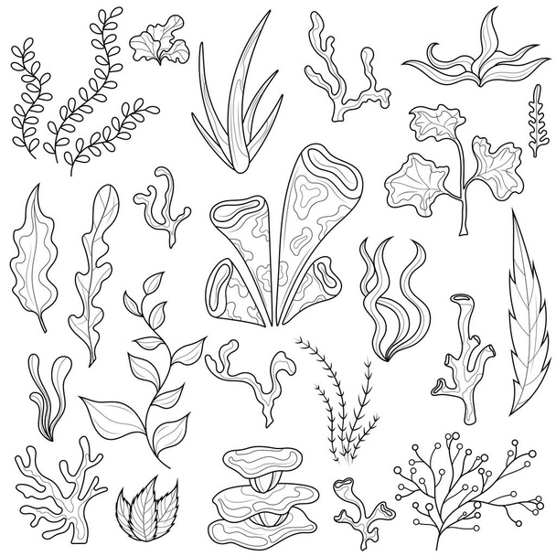 Seaweed.Set.Colorear libro antiestrés para niños y adultos. Ilustración aislada sobre fondo blanco.Estilo Zen-tangle. Dibujo blanco y negro - Vector, imagen