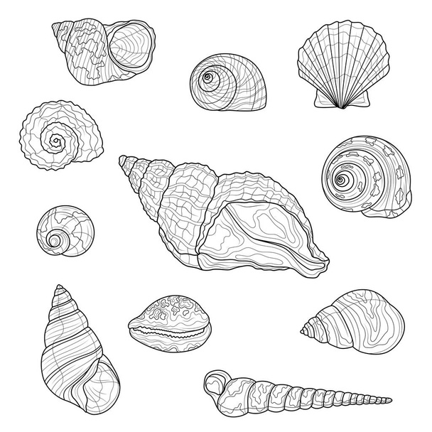 Conjunto Seashells. Livro de colorir anti-stress para crianças e adultos. Ilustração isolada em fundo branco.Estilo Zen-emaranhado. Desenho preto e branco - Vetor, Imagem
