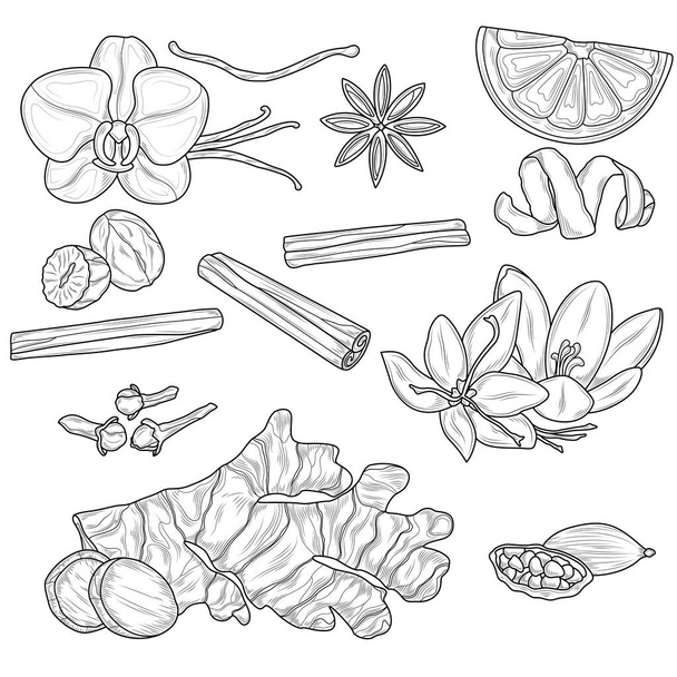 Sketch of spices for baking.Coloring book antistress for children and adults. Zen-tangle style.Black and white drawing - Vector, Image