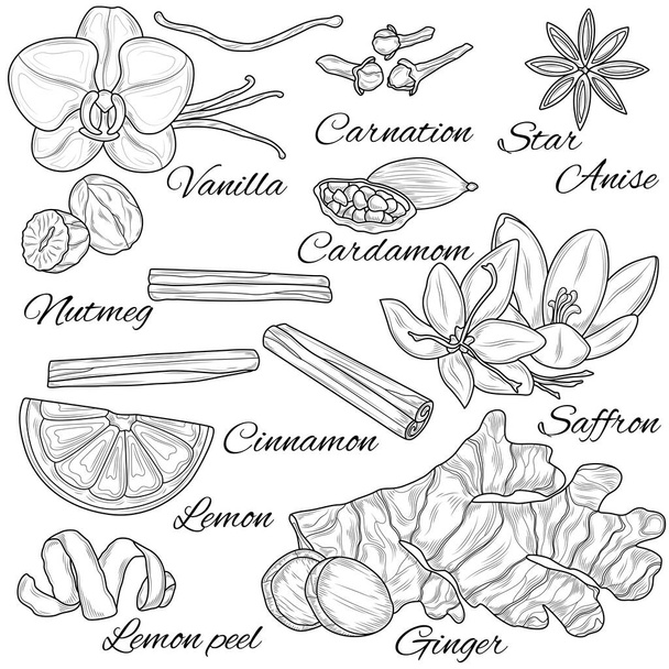 Sketch of spices for baking.Coloring book antistress for children and adults. Zen-tangle style.Black and white drawing - Vector, Image