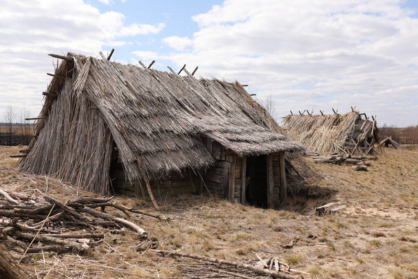 remnants of Ancient houses made from hollow logs with wooden and thatched roofs on the meadow. - Photo, Image