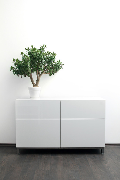 white chest of drawers with flower pot in bright interior - Photo, Image