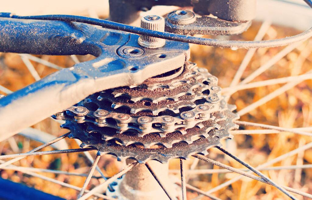 primer plano de un equipo sucio de una bicicleta de montaña después de montar fuera de la carretera en colores de otoño, concepto de estilo de vida - Foto, imagen